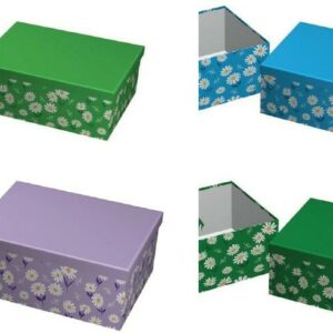 Geschenkbox "Gänseblümchen" 13er VE 4