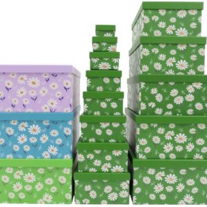 Geschenkbox "Gänseblümchen" 13er VE 4